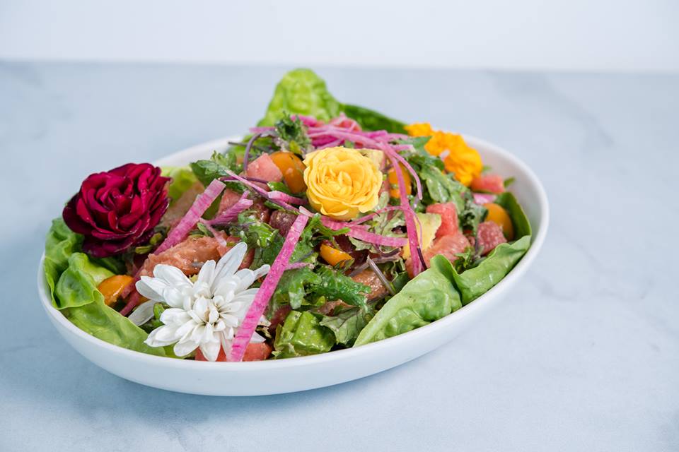 Greenleaf Gourmet Chopshop — restaurant photo archive