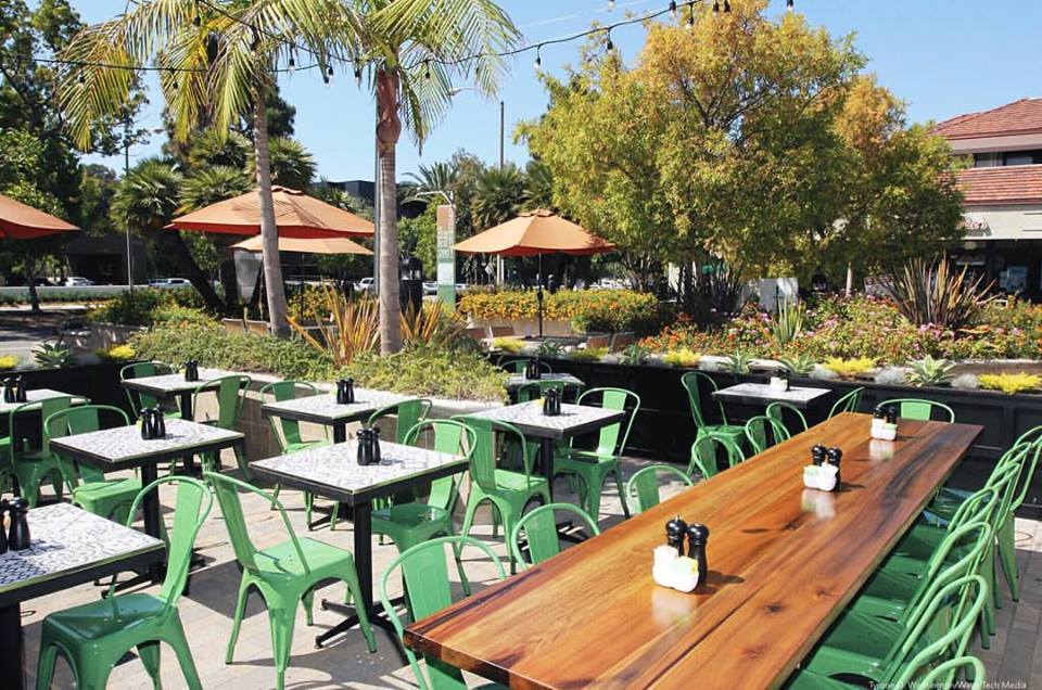 Society Kitchen : restaurant photo collection