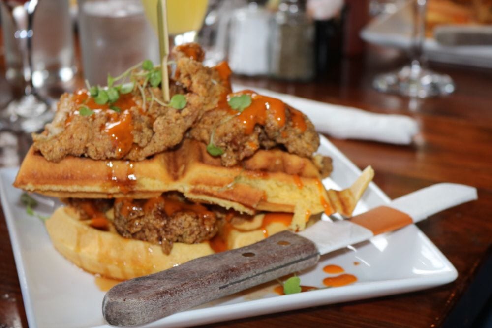 The Shady Lady — restaurant photo collection