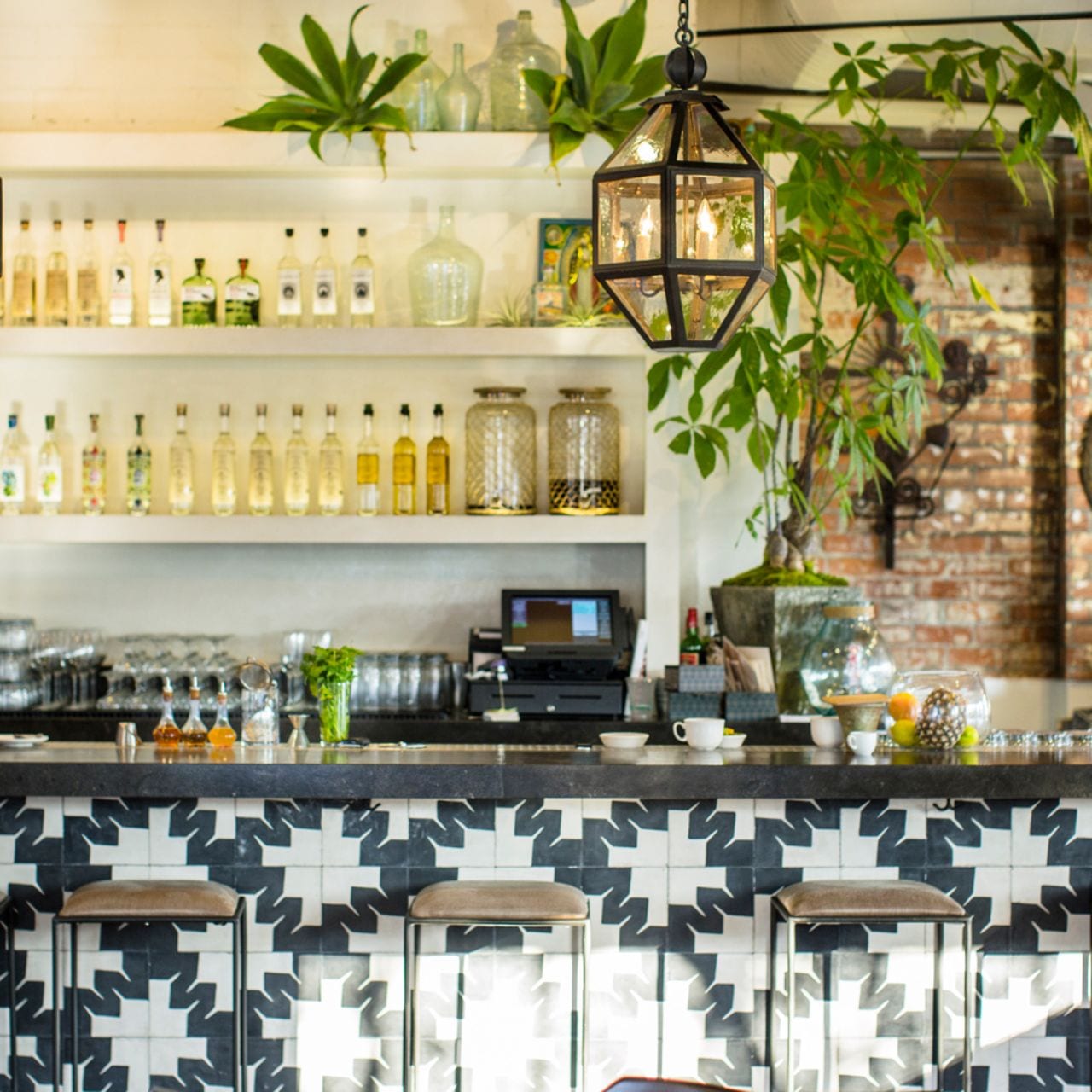 Gracias Madre — restaurant photo archive