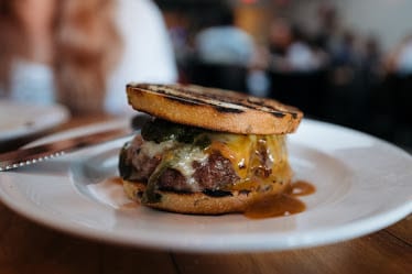 Animal Restaurant — Restaurant Food And Dining Photo