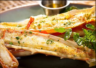 Chicago Oyster House — Restaurant Food And Dining Photo