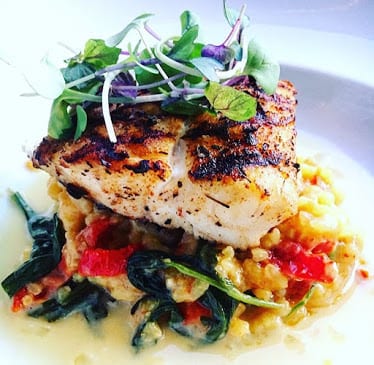 Agave Restaurant — Restaurant Food And Dining Photo