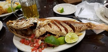 El Rinconcito Latino - Coral Way — Restaurant Food And Dining Photo