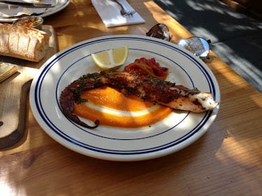 Fiorito — Restaurant Food And Dining Photo