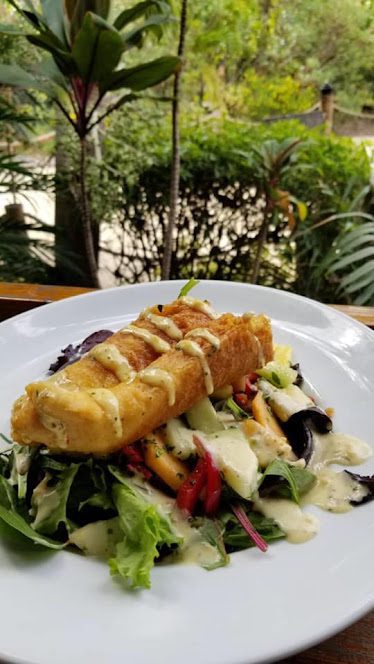 Thirsty Turtle Express — Restaurant Food And Dining Photo