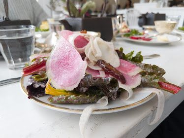 MÅURICE