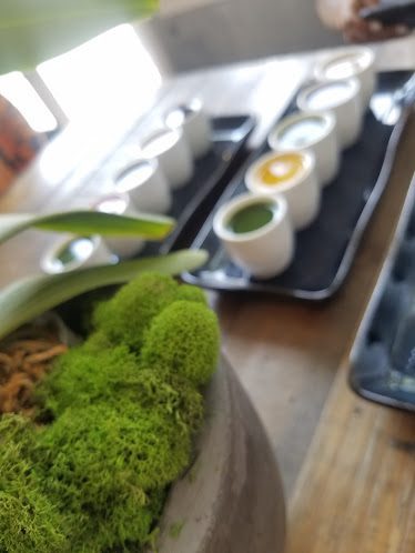 Vibe Health Bar