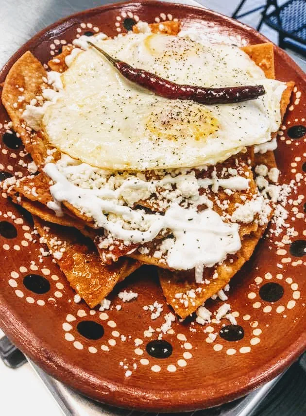 Cocina Maiz: Restaurant Food And Dining Photo
