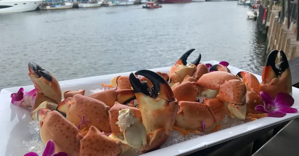 Casablanca Seafood Bar & Grill: Restaurant Photograph