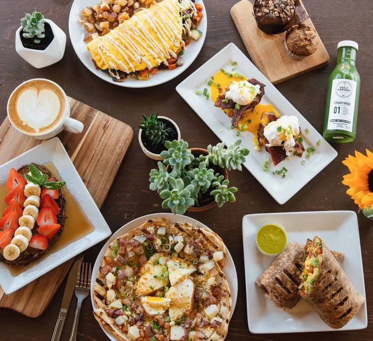 The Daily Harvest Cafe & Juicery: Restaurant Photograph