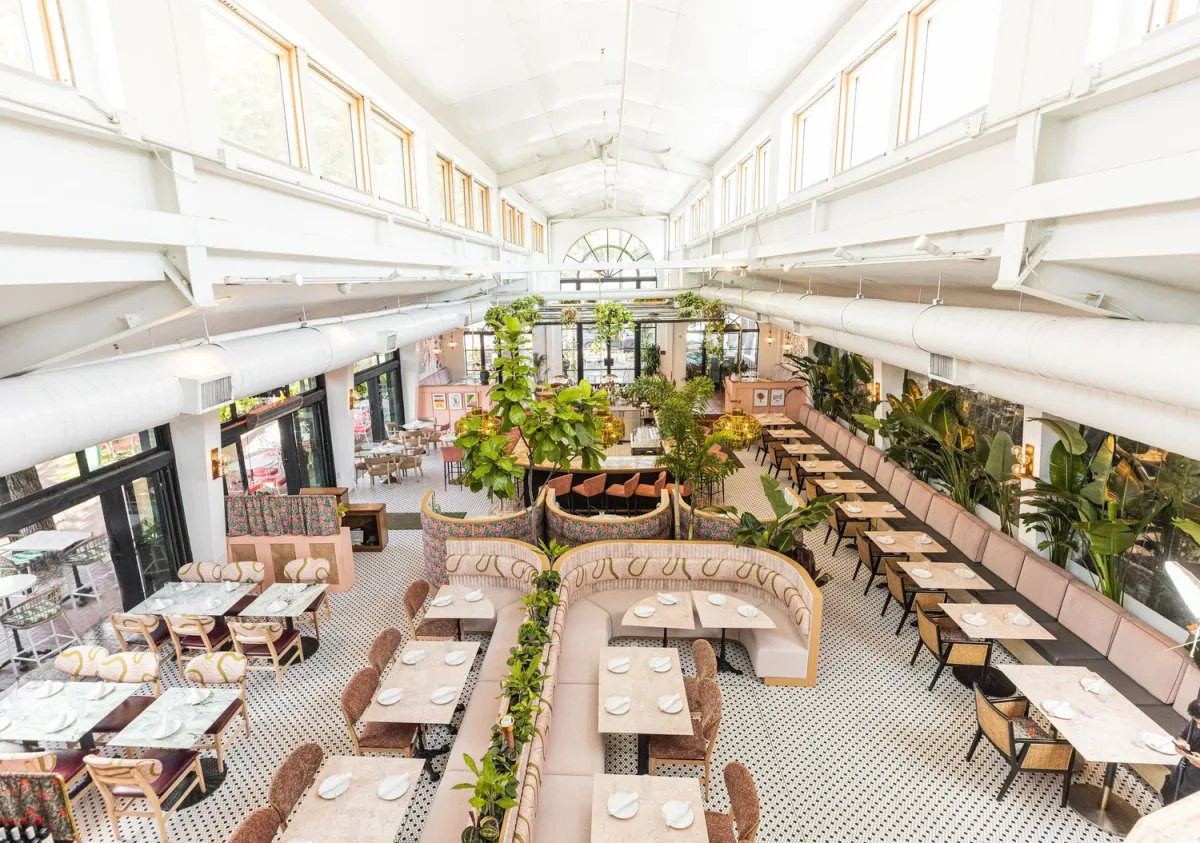 Paradiso: Restaurant Photograph